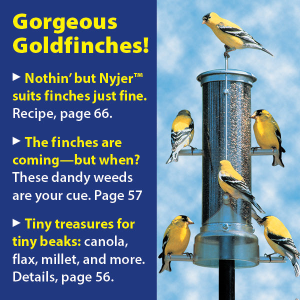Backyard Birdscaping Bonanza