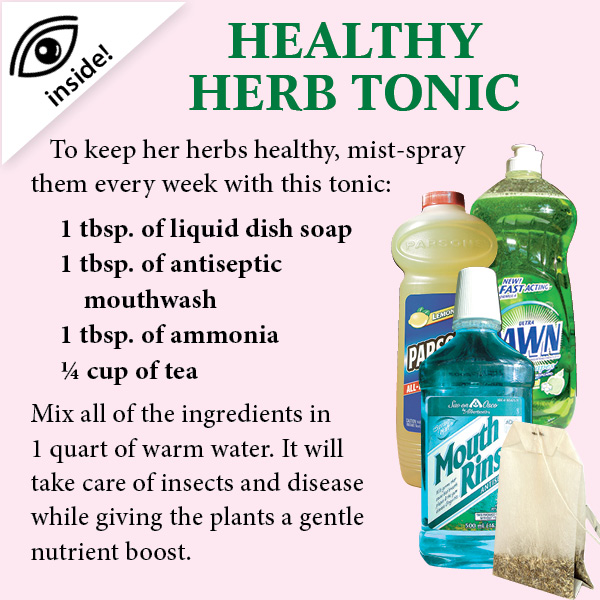 Herbal Pharmacy