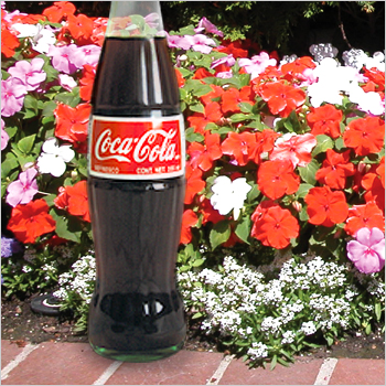 bottle of coco-cola