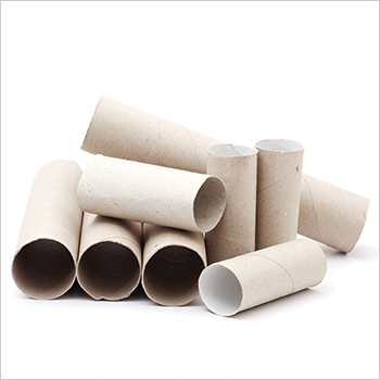 rolls of paper towels